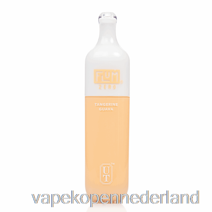 Elektronische Sigaret Vape Flum Float 0% Nul Nicotine 3000 Wegwerp Mandarijnguave